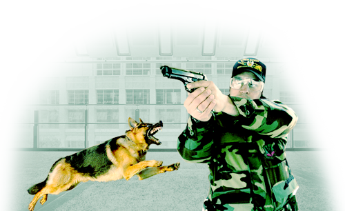 Собака-телохранитель для защиты